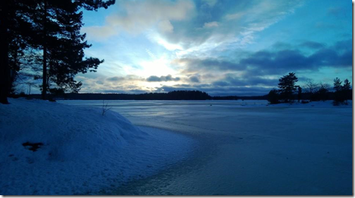 A view from our summerhouse