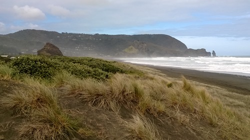 Piha Beach