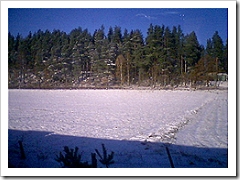 A view from the window of the train