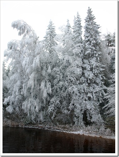 Hoarfrost